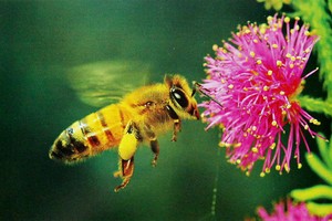 Dấu ấn mùa báo cáo thường  niên 2013